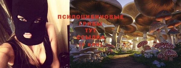 синтетический гашиш Алексеевка