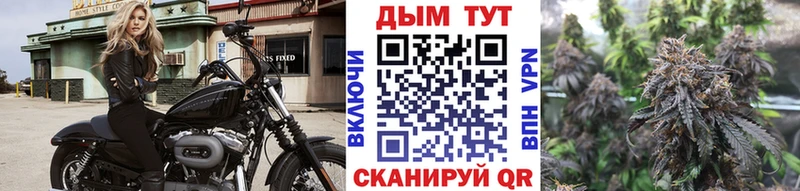 Конопля Amnesia  Долинск 